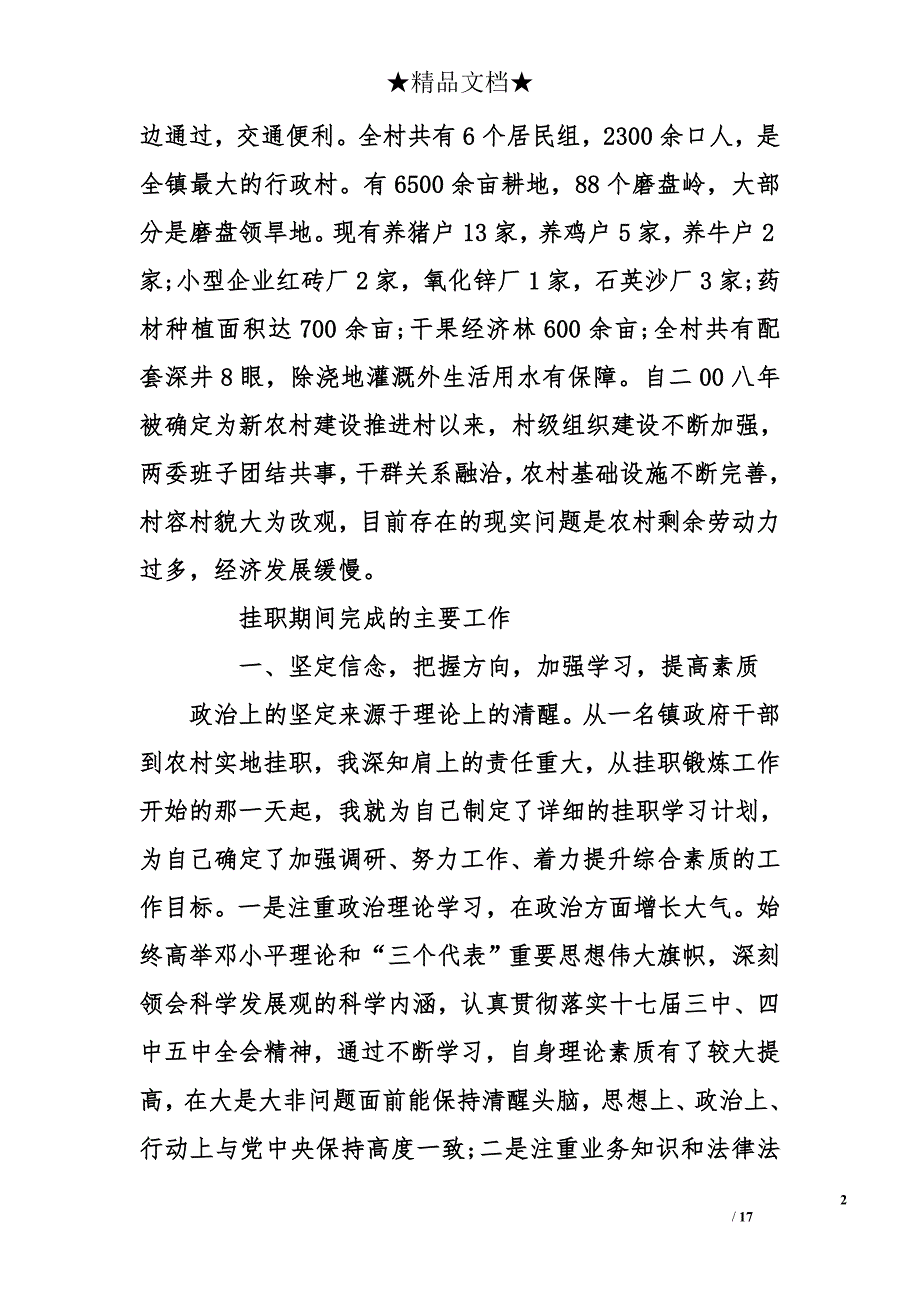 乡村干部年终工作总结_第2页