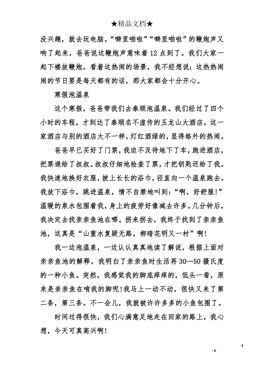 2017寒假见闻作文_第4页