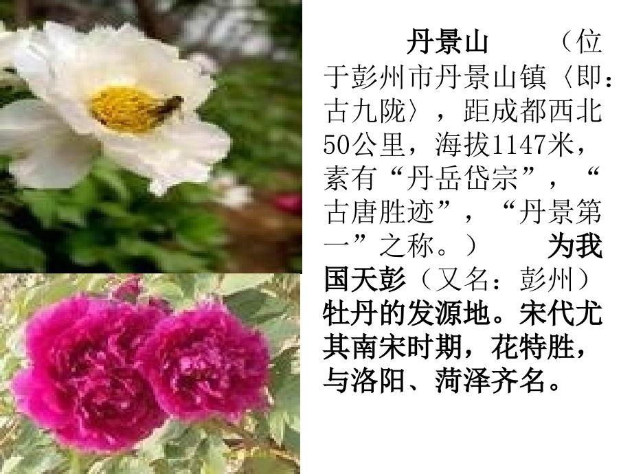 通识作业彭州介绍_第4页