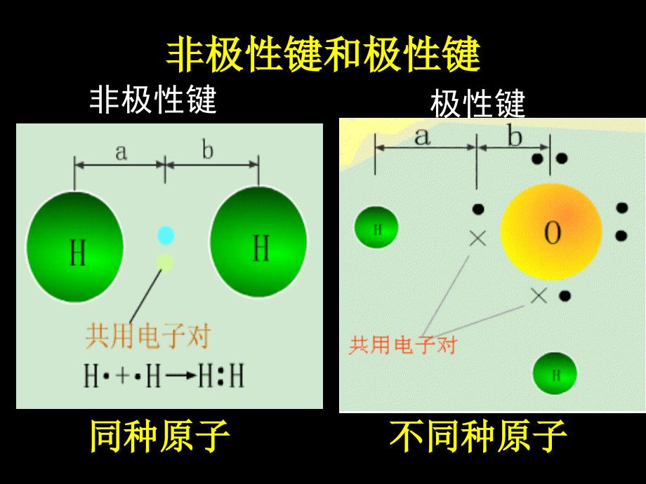 化学键分子间作用力氢键_第2页