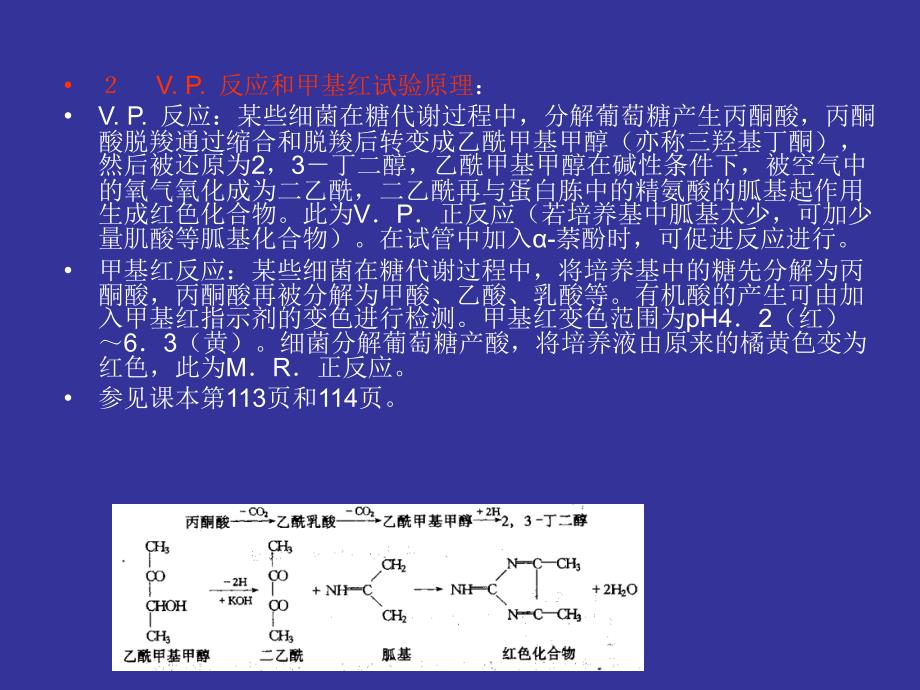 实验十一 细菌常用生理生化反应实验接种_第4页