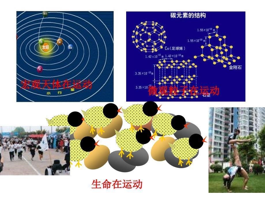 高二政治认识运动把握规律_第5页