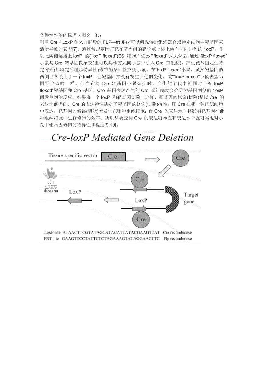 条件性敲除的原理_第1页