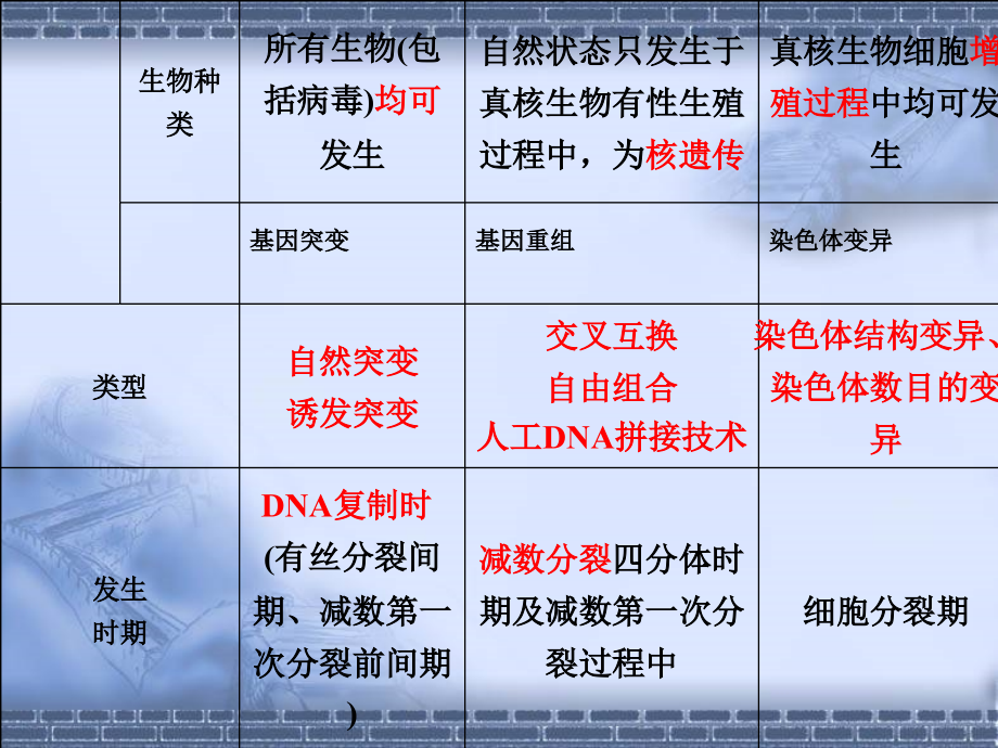 2011高三生物二轮专题复习课件：4.3生物的变异与进化_第3页