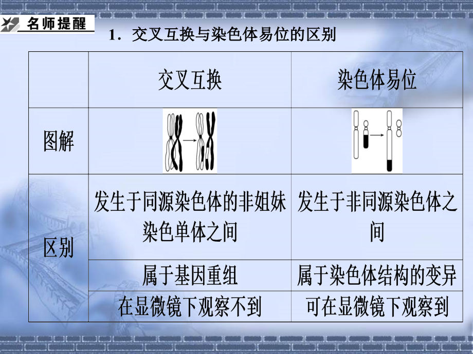 2011高三生物二轮专题复习课件：4.3生物的变异与进化_第5页