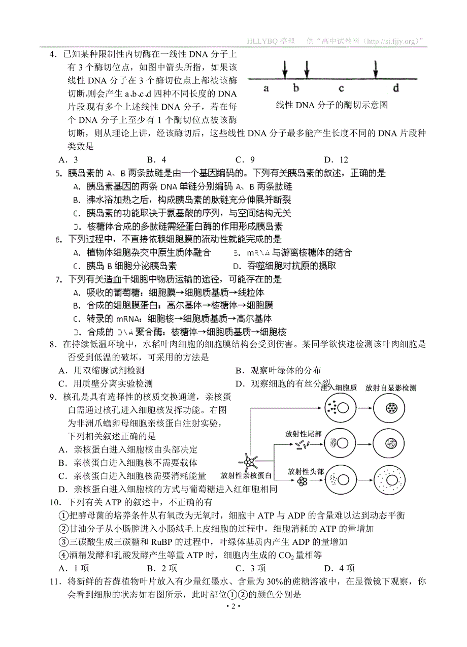 浙江省2012届高三第二次阶段性检测生物_第2页