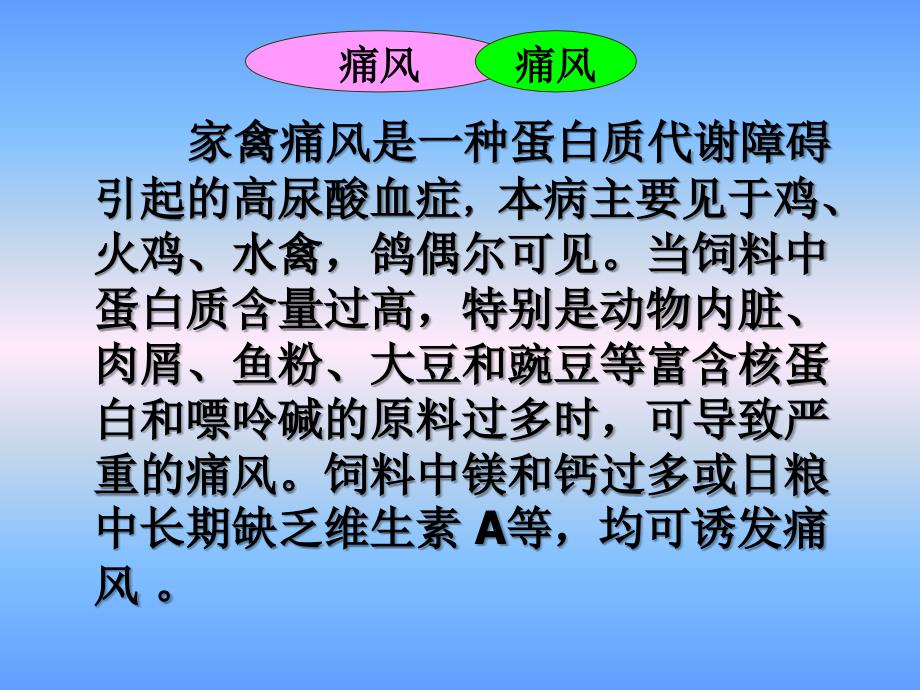 禽病学禽病临床诊断彩色图谱74痛风_第2页