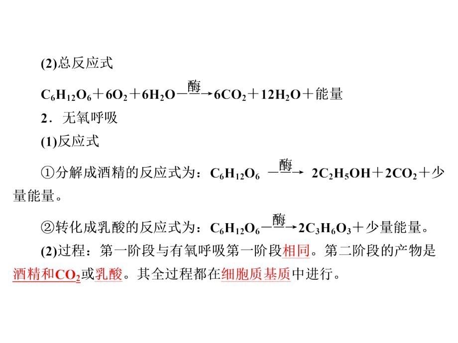 ATP的主要来源——细胞呼吸_第5页