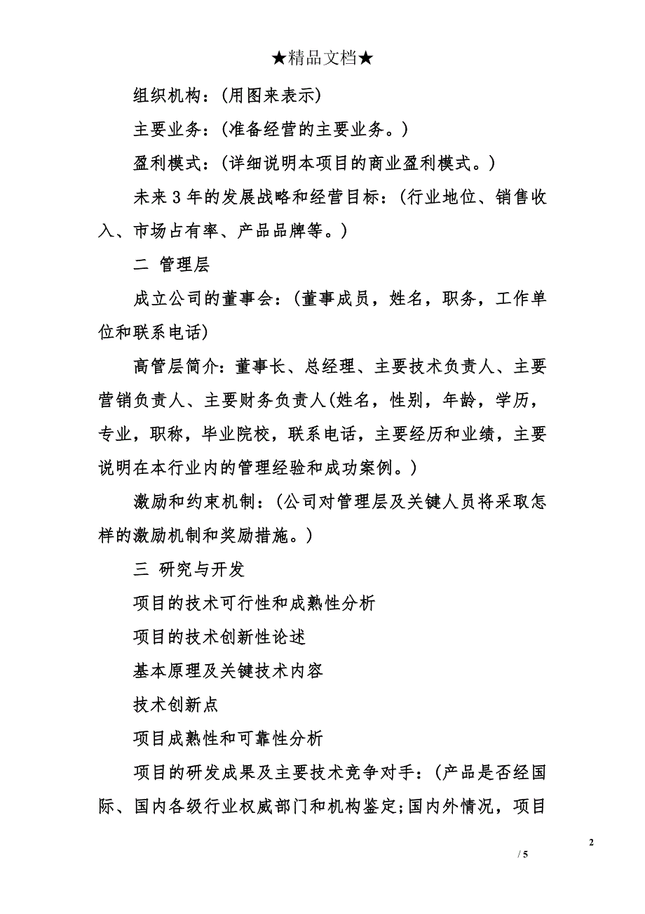 创意项目策划书模板_第2页