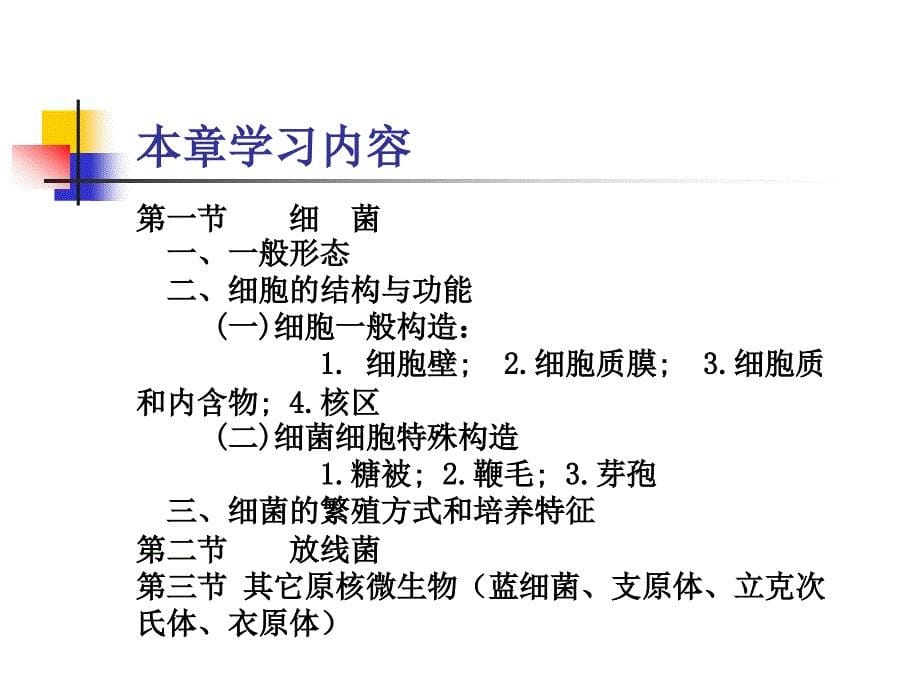 高中生物第二章原核微生物形态、构造及功能1(刘)_第5页