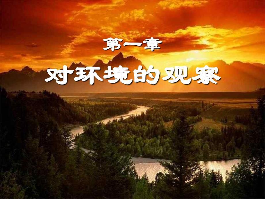 《对环境的察觉》复习课件  浙教版_第1页