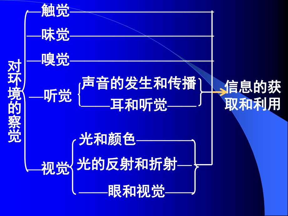 《对环境的察觉》复习课件  浙教版_第2页