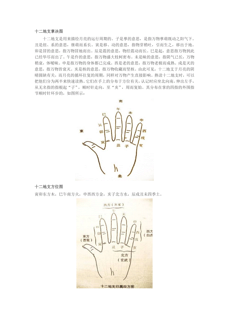 十二地支掌决图_第1页
