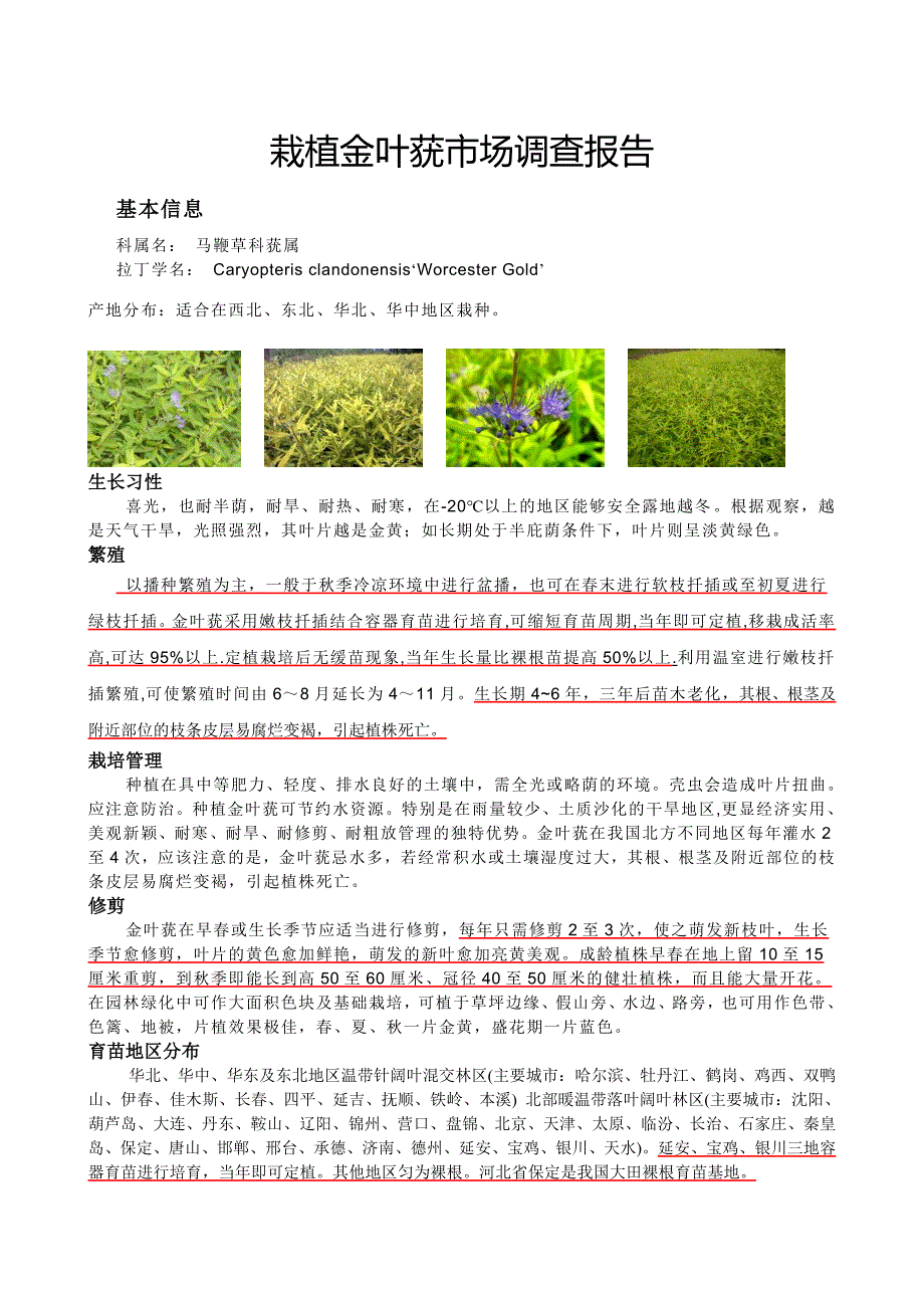 栽植金叶莸市场调查报告_第1页