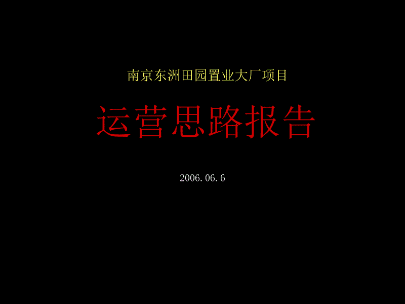 南京东洲田园置业大厂项目运营思路报告_第1页