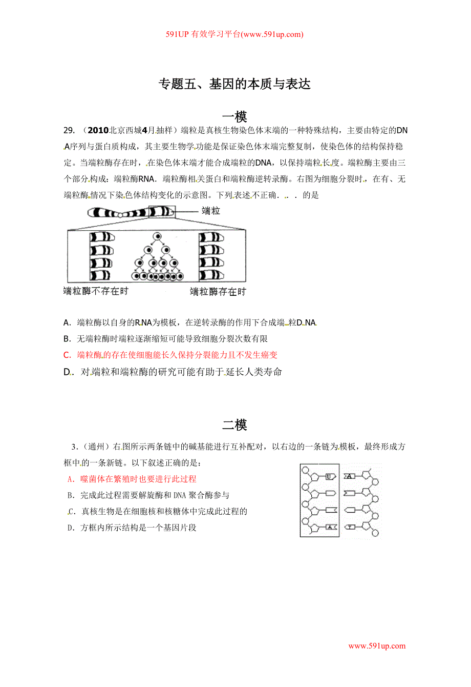 北京市2010年1-2模拟理综生物试题分类汇编：专题五基因的本质与表达_第1页