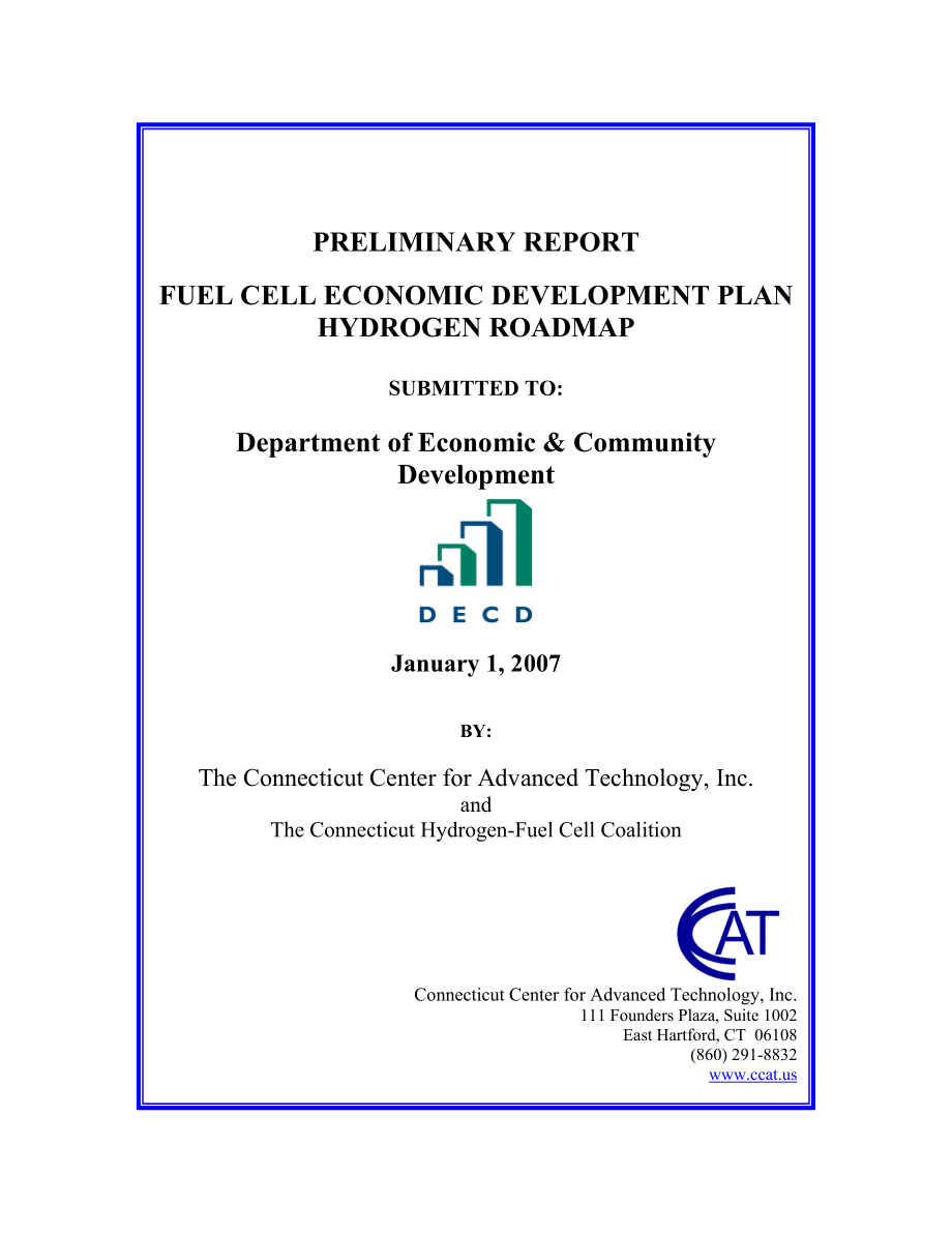 preliminary report_第1页