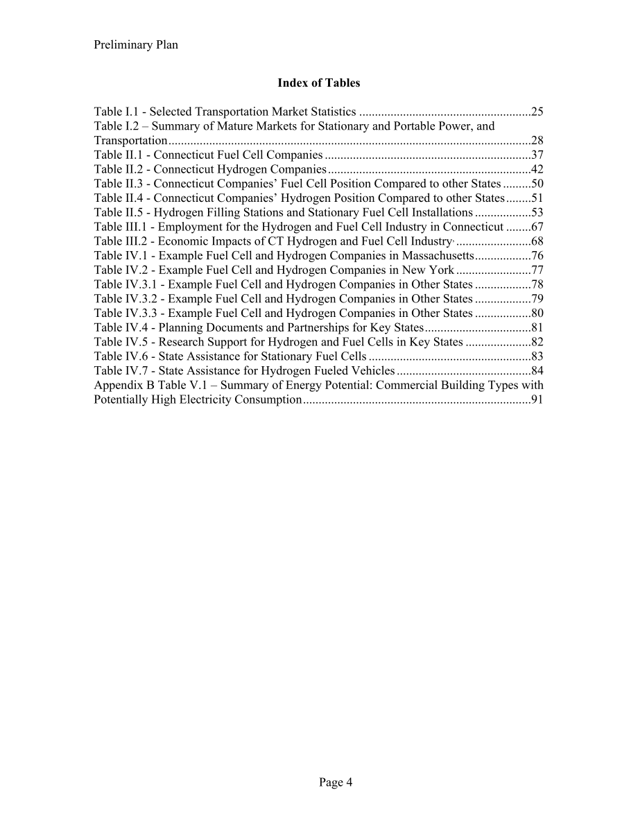 preliminary report_第4页