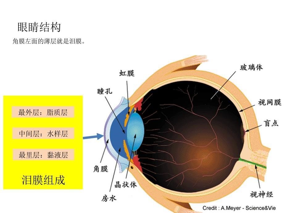 预防和治疗干眼症--眼皮按摩法DIY_第5页