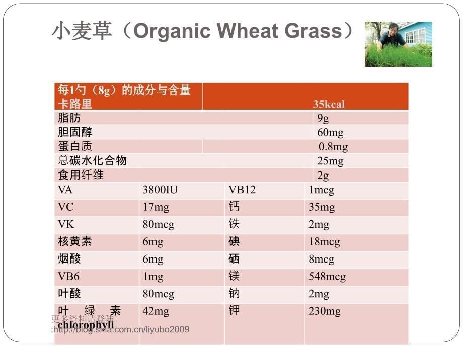 常用的营养补充食品介绍（上）备份_第5页