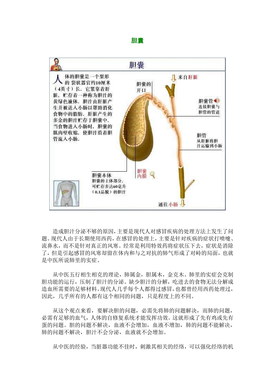 敲胆经（详细穴位图可放大，穴位查找方法）_第4页