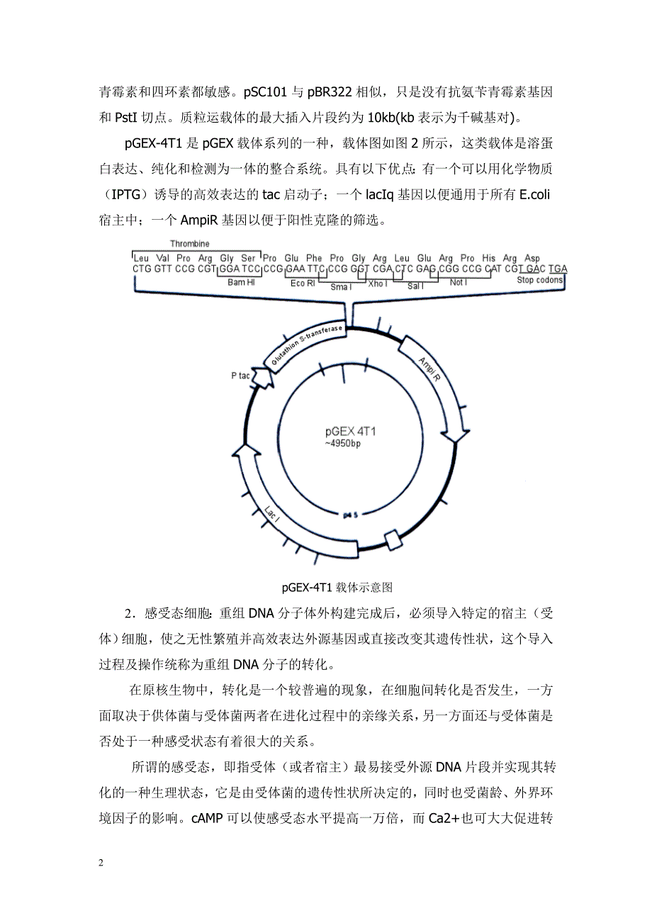 碱裂解法提取质粒-配方,操作说明_第2页