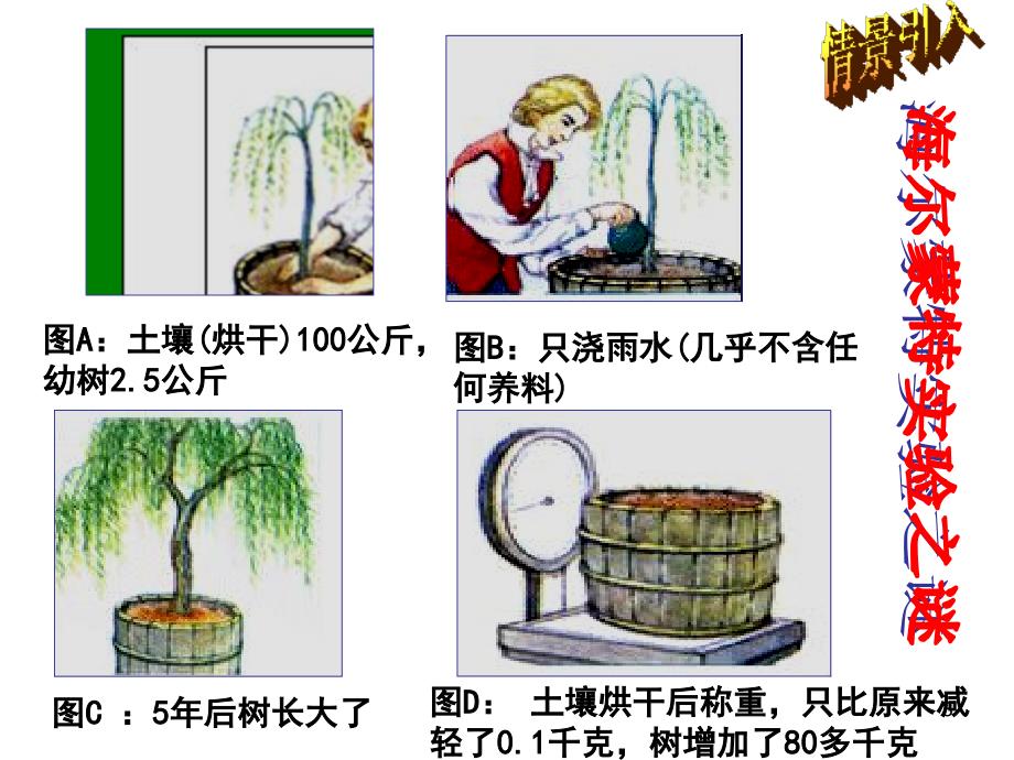 5-1光合作用吸收二氧化碳释放氧气_第3页