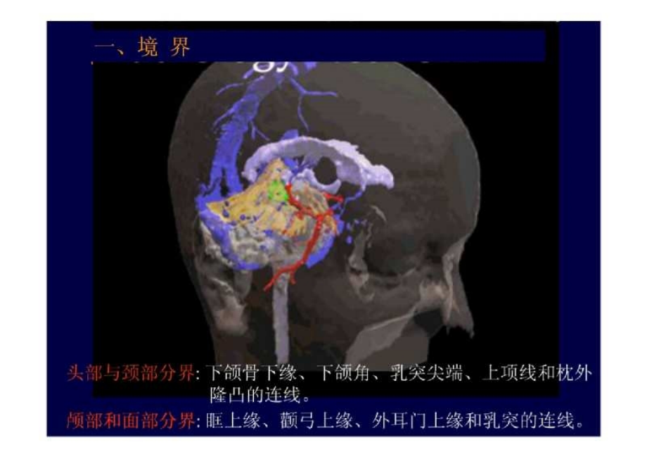 颅脑断面解剖_第3页