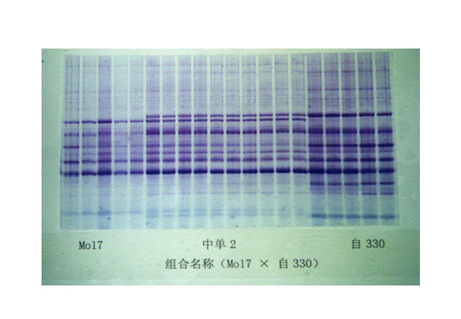 农作物种子检验员专业知识考试模拟试卷（室内检验员）_第3页