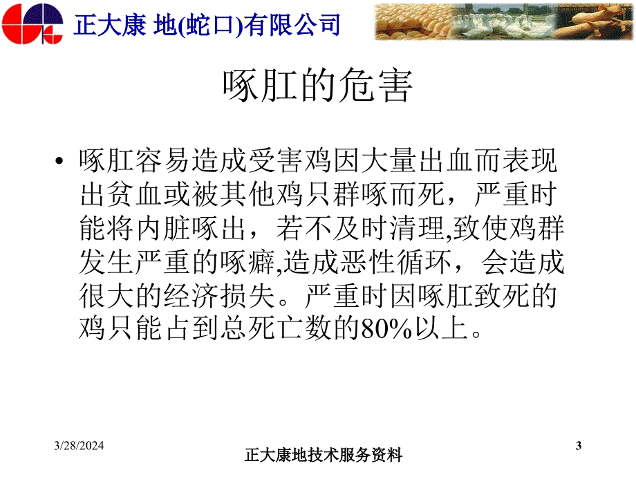 蛋鸡发生啄肛原因分析和对策_第3页