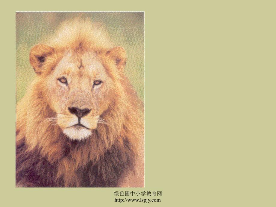 人美版小学一年级下册美术《狮子大王课件》优秀教学_第2页