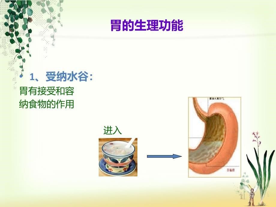 抓住蛛丝马迹赶走脾胃病_第5页