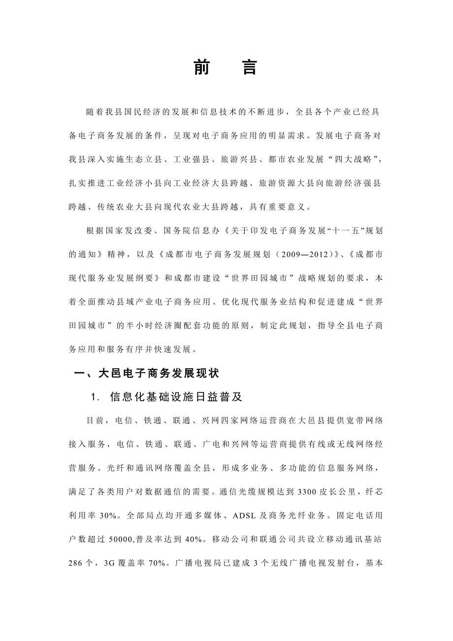 大邑县电子商务发展规划_第5页