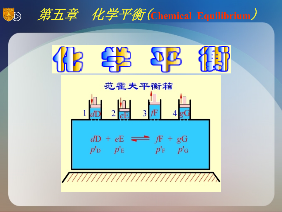 物理化学 第2章化学平衡-K_第1页