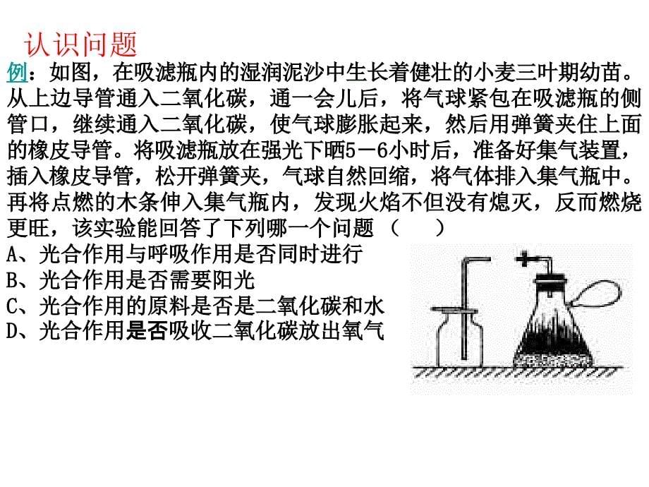 中考复习科学探究专题_第5页