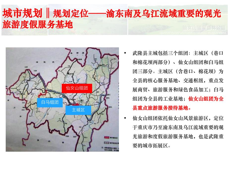 重庆武隆仙女山项目初步市场分析_第4页