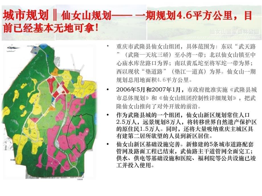 重庆武隆仙女山项目初步市场分析_第5页