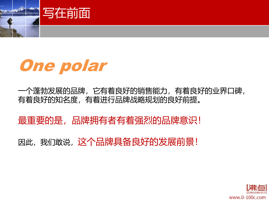 整合与蜕变-One polar品牌资源整合策略建议_第3页