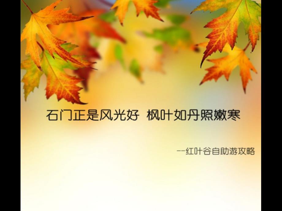 山东潍坊临朐红叶谷自助游攻略_第1页