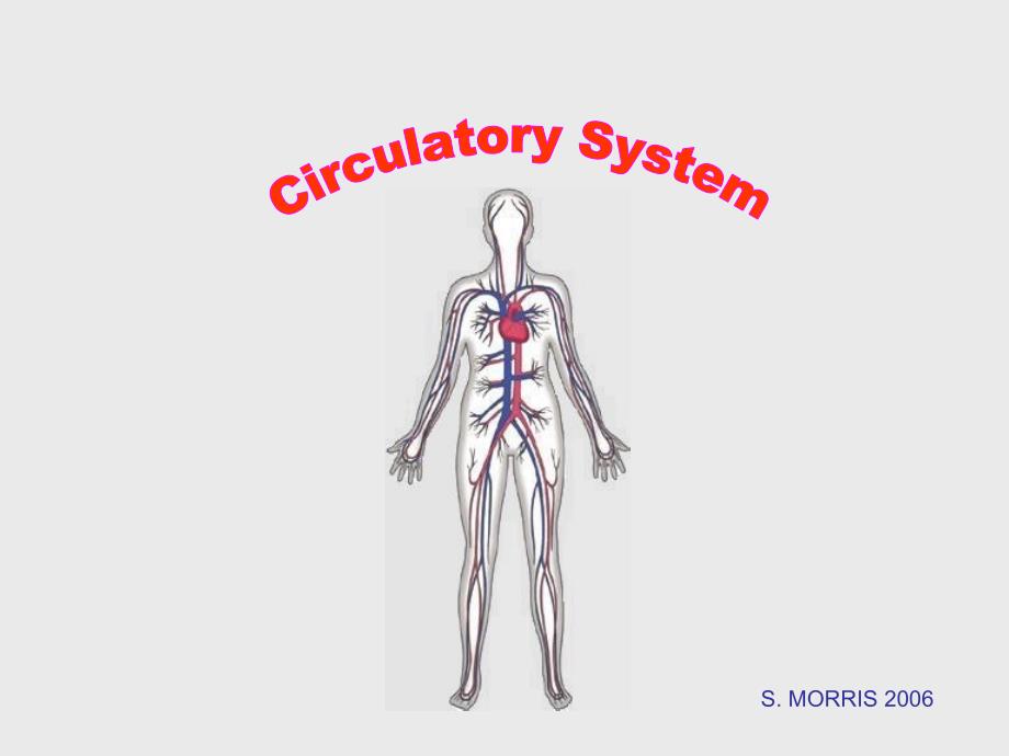 Circulatory system_第1页