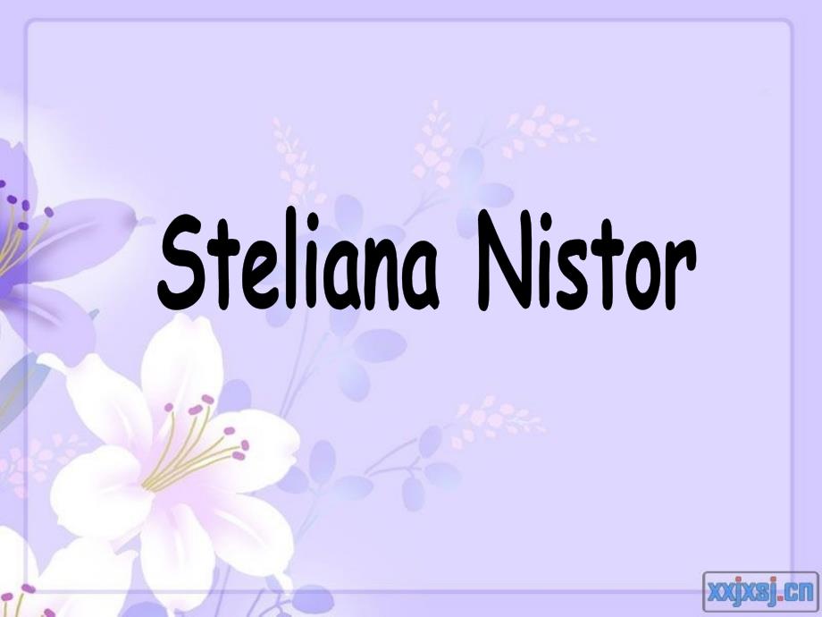 steliana nistor 再见,尼斯托!_第1页