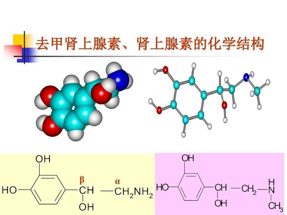 10 肾上腺素受体激动药_第5页