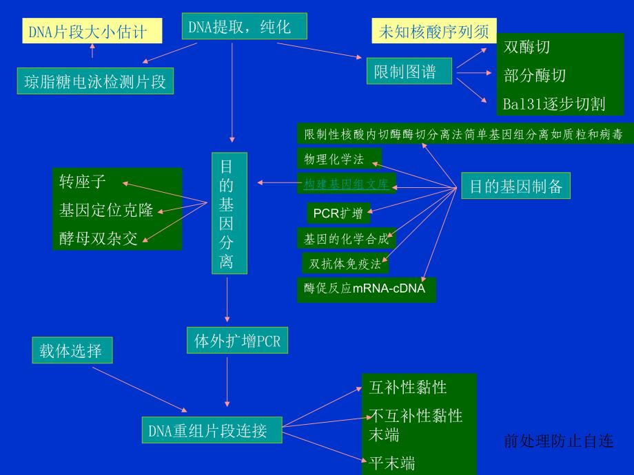 基因工程实验流程总览_第2页