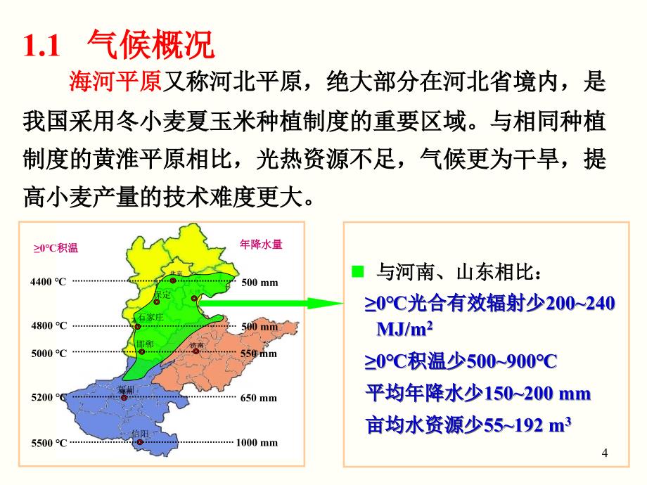 海河平原冬小麦节水超高产栽培技术体系研究与应用_第4页