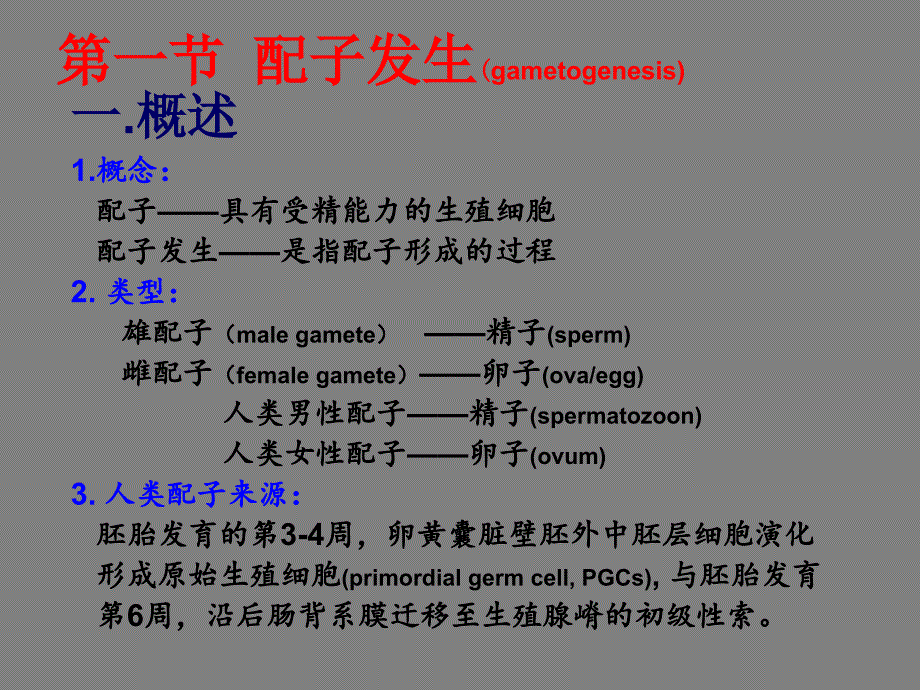 减数分裂和配子发生_第2页