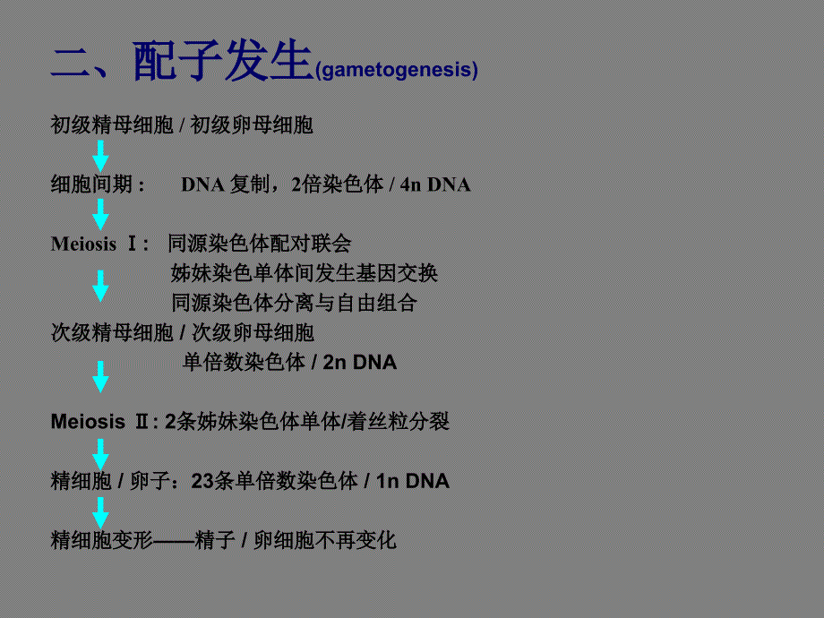 减数分裂和配子发生_第3页