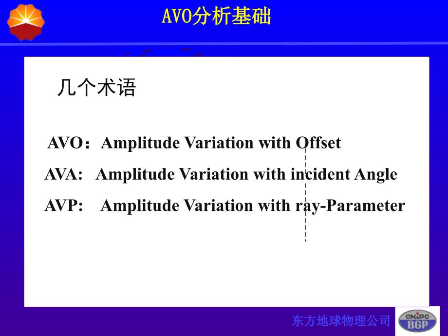 AVO及数据处理_第4页