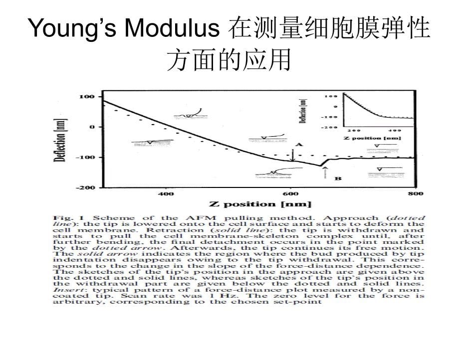 杨氏模量_第5页