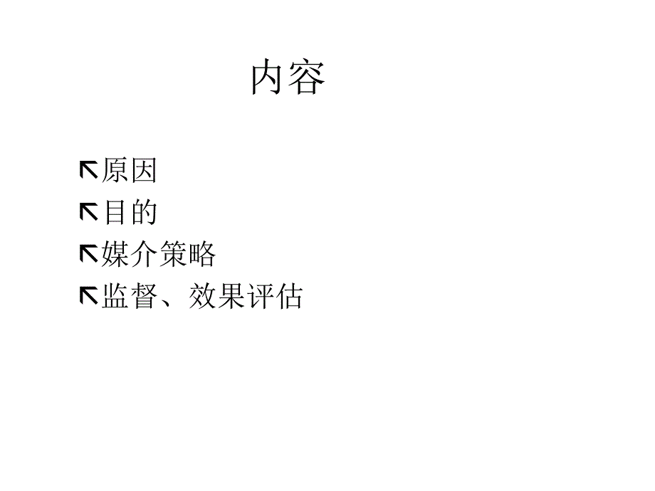 媒介策划_网络媒介计划_第2页