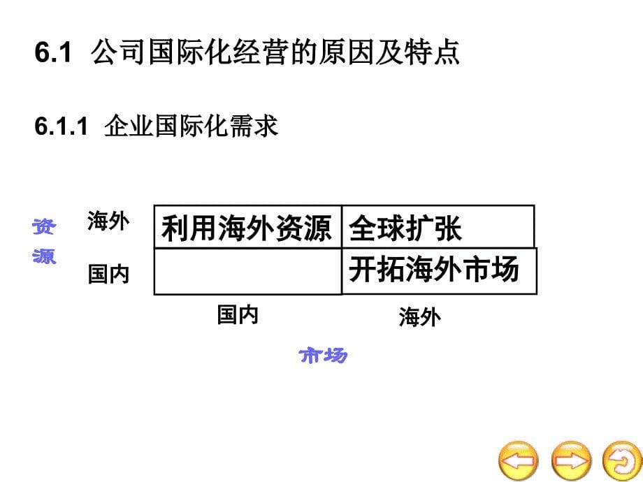 公司国际化经营战略_第5页